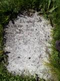 image of grave number 276717